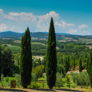 TOSCANE